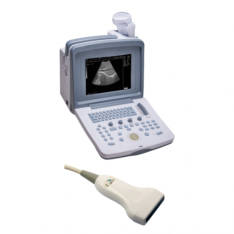 ULTRASONIDO WED9618 CON T/LINEAL